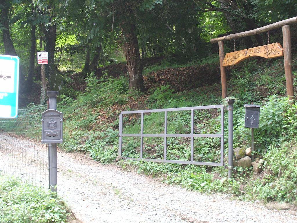 Il Tiglio *